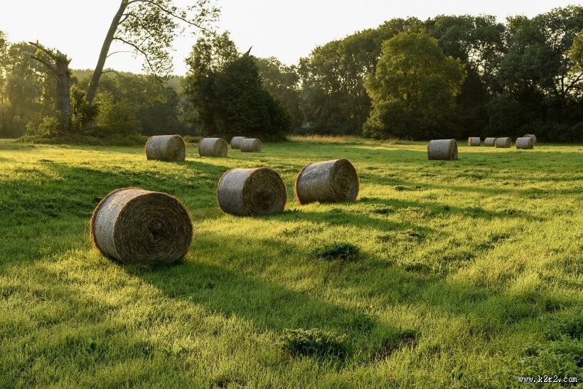 夏日田园里的草垛自然风光图片