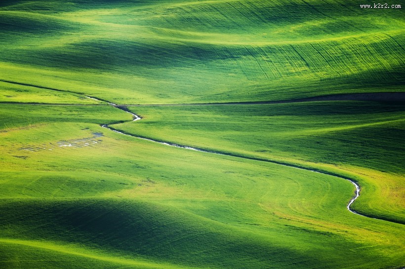 宽广的草地图片