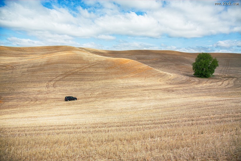 宽广的草地图片