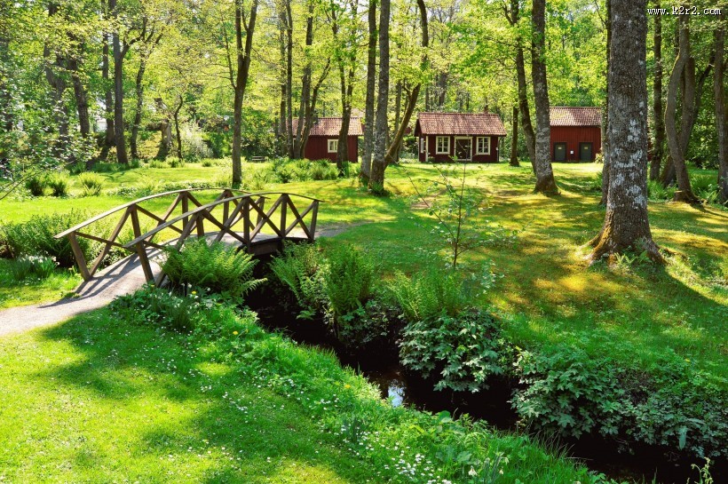 绿油油的郊外风景图片
