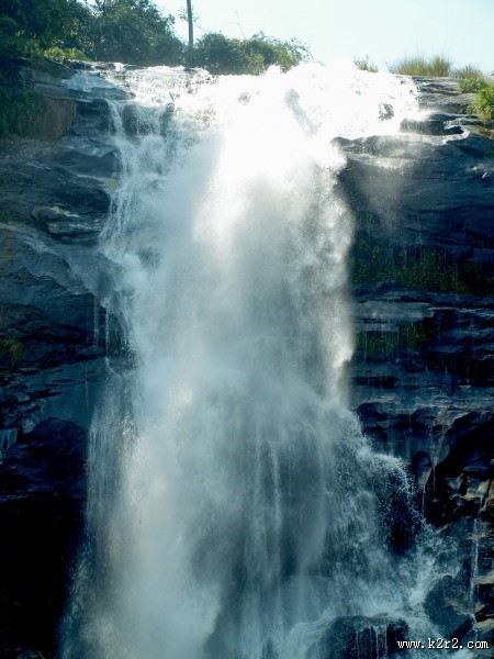 森林里的瀑布图片