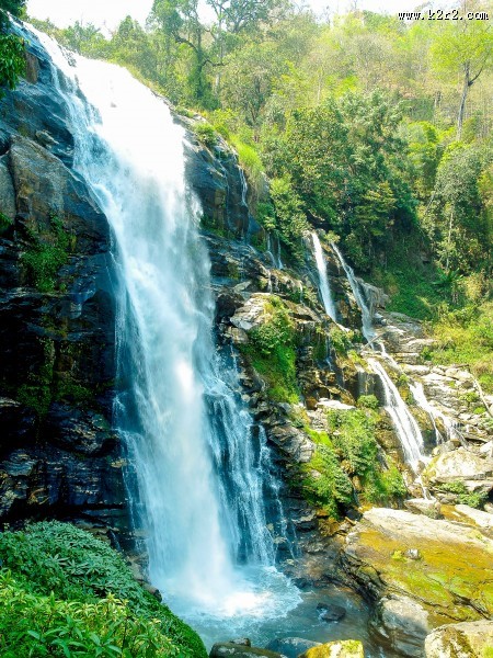 森林里的瀑布图片