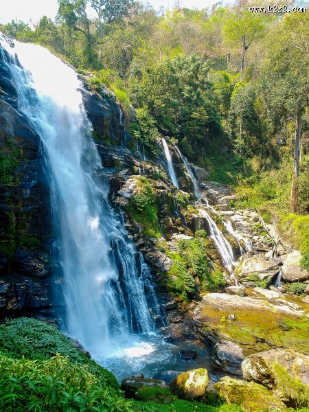 森林里的瀑布图片