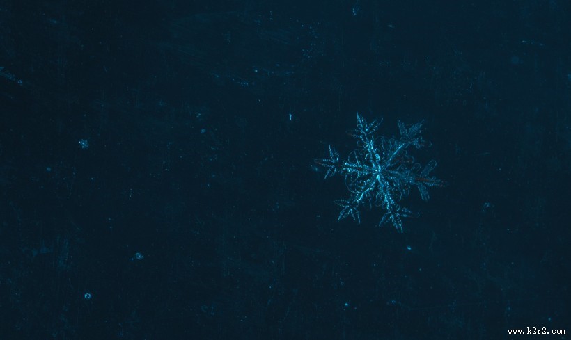 显微镜拍摄的雪花图片