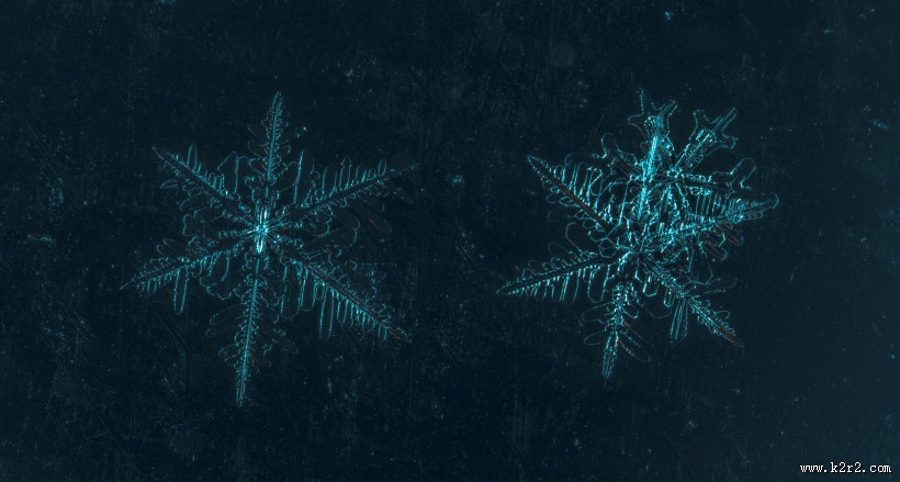 显微镜拍摄的雪花图片