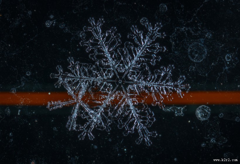 显微镜拍摄的雪花图片