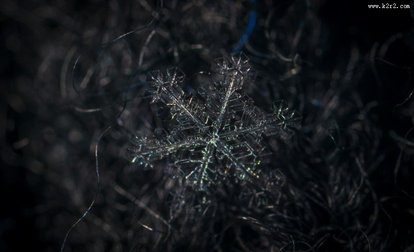 显微镜拍摄的雪花图片