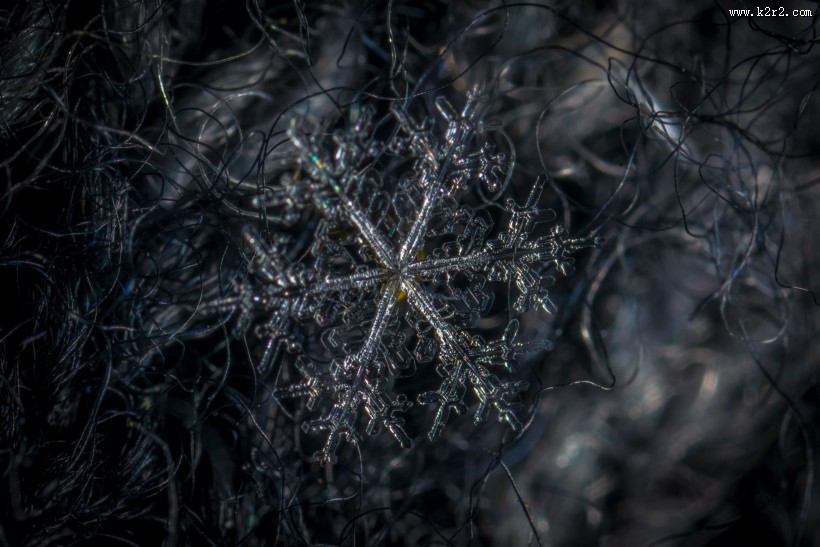 显微镜拍摄的雪花图片