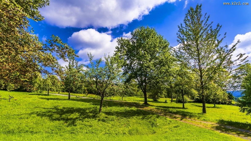 绿油油的自然风景图片大全