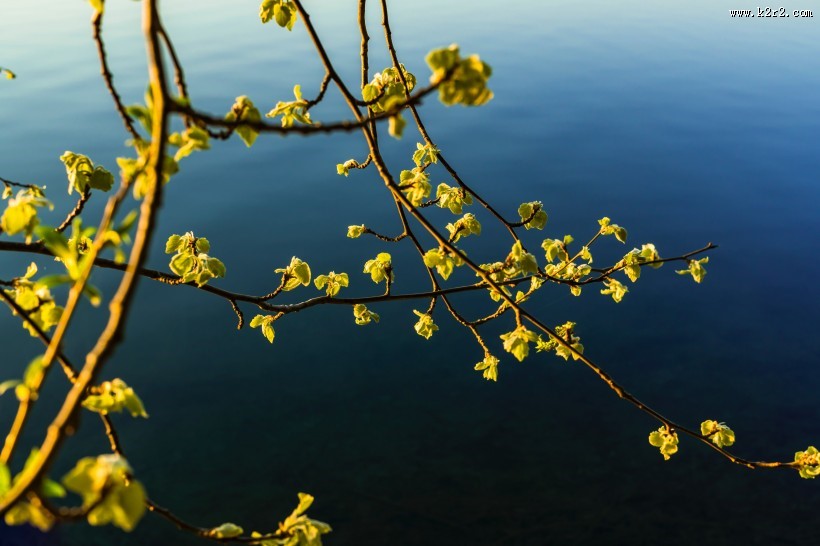 景色迷人的湖泊图片