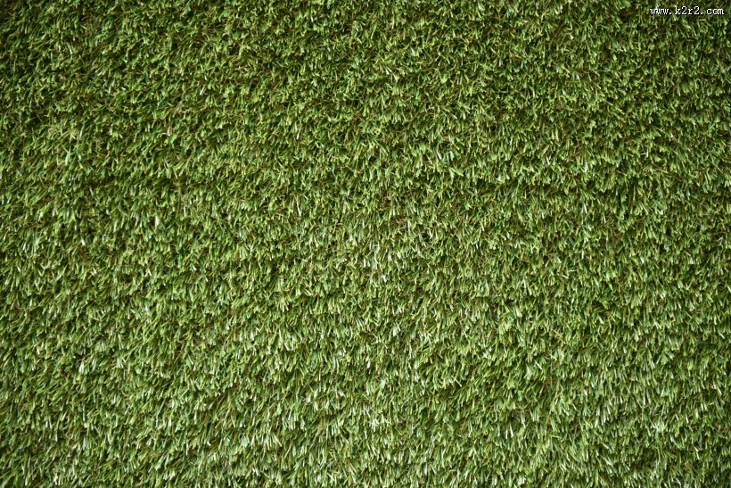 碧绿的草地图片