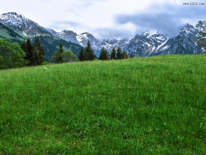 碧绿的草地图片
