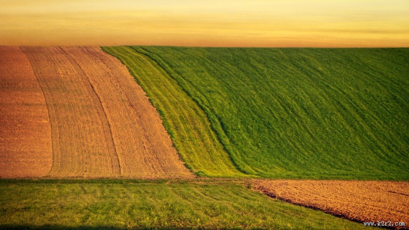 辽阔的田野图片