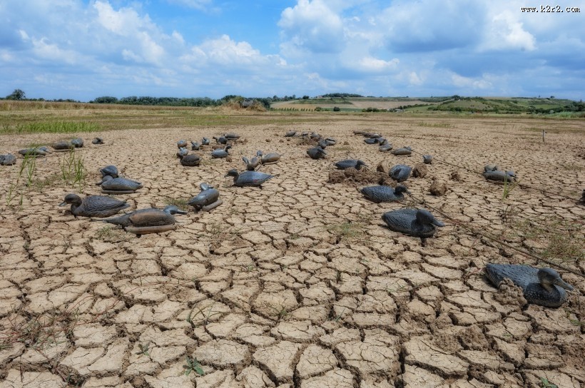 干旱的土地图片