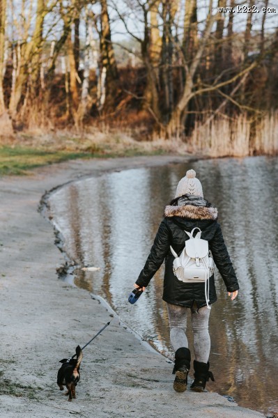 湖边的风景图片