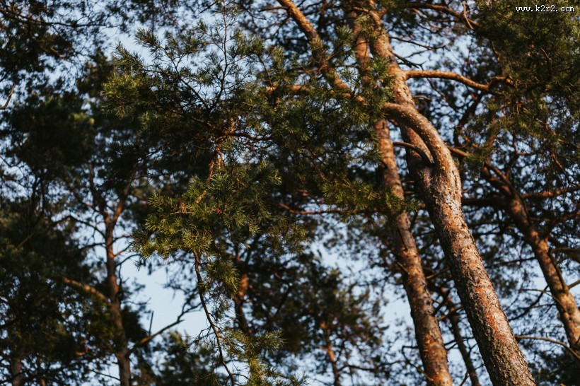 湖边的风景图片