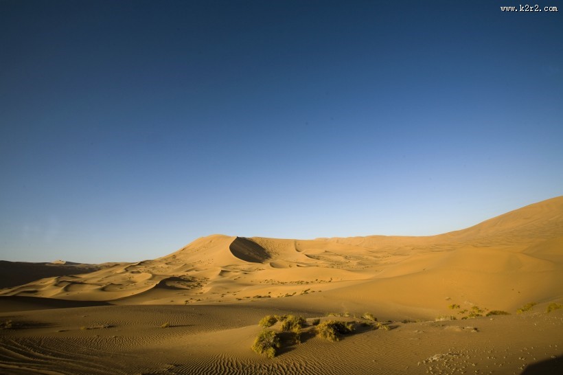 干旱的沙漠图片