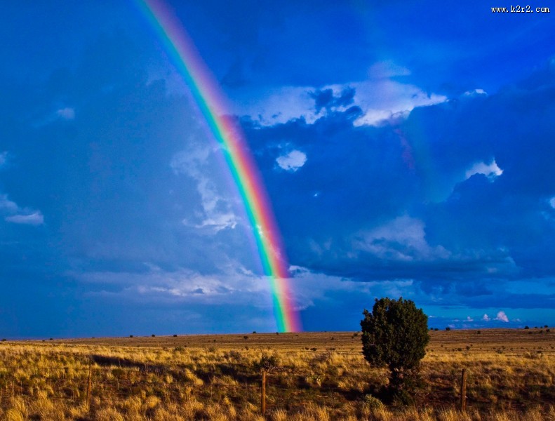 美丽的彩虹图片大全