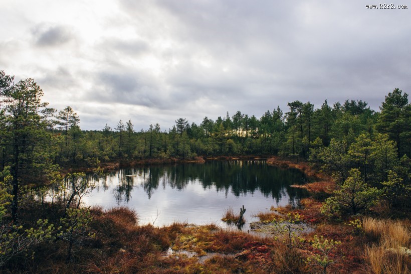 美丽的湖泊图片大全