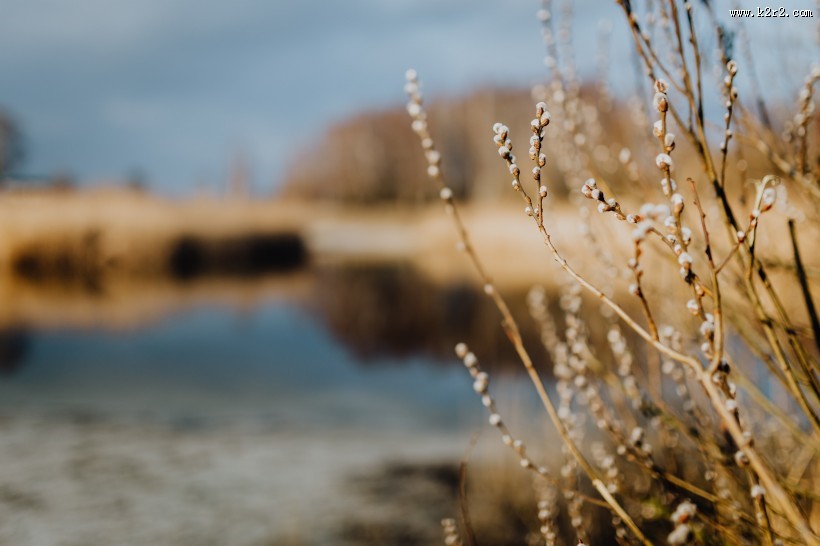 郊外的风景图片
