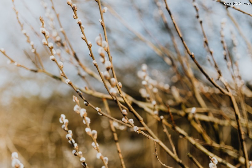 郊外的风景图片