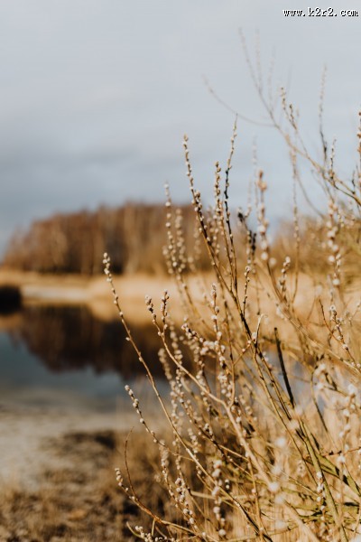 郊外的风景图片