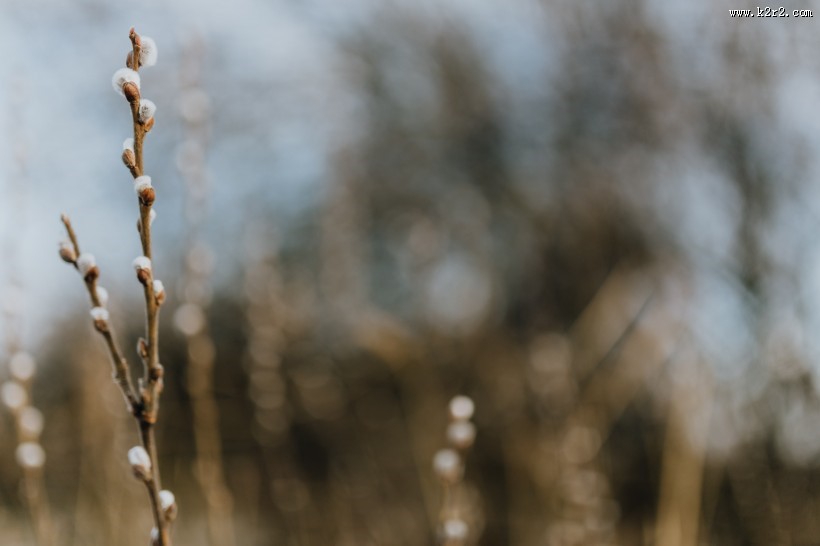 郊外的风景图片