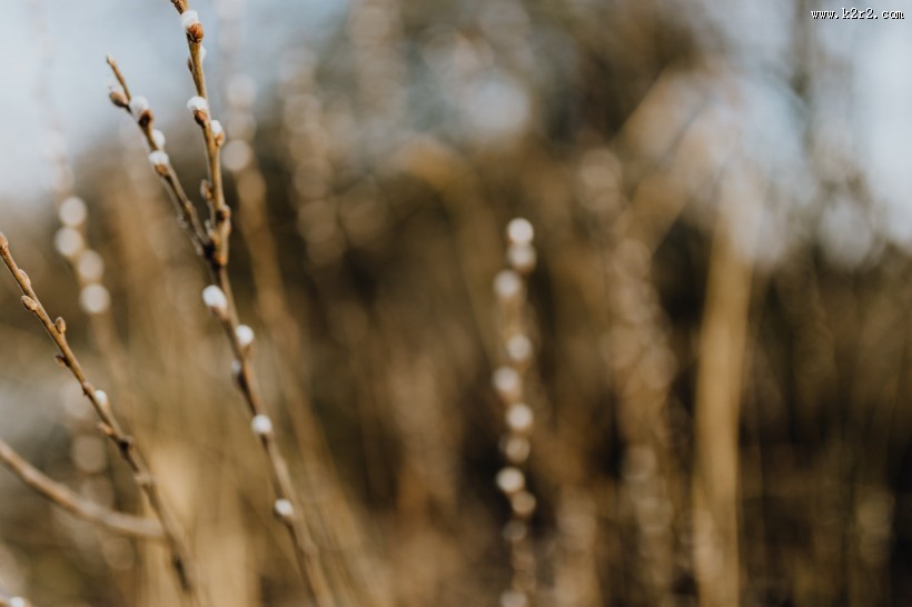 郊外的风景图片