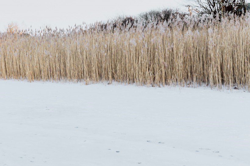 冻结的湖水图片