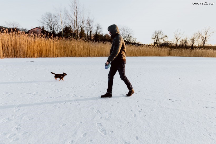 冻结的湖水图片