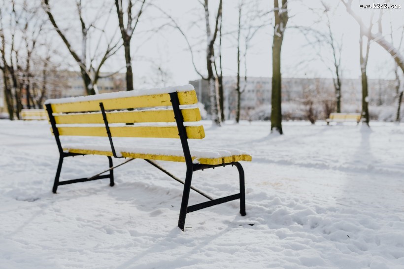 雪地里的公园图片