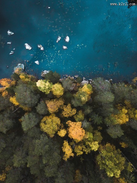 秋天的森林图片