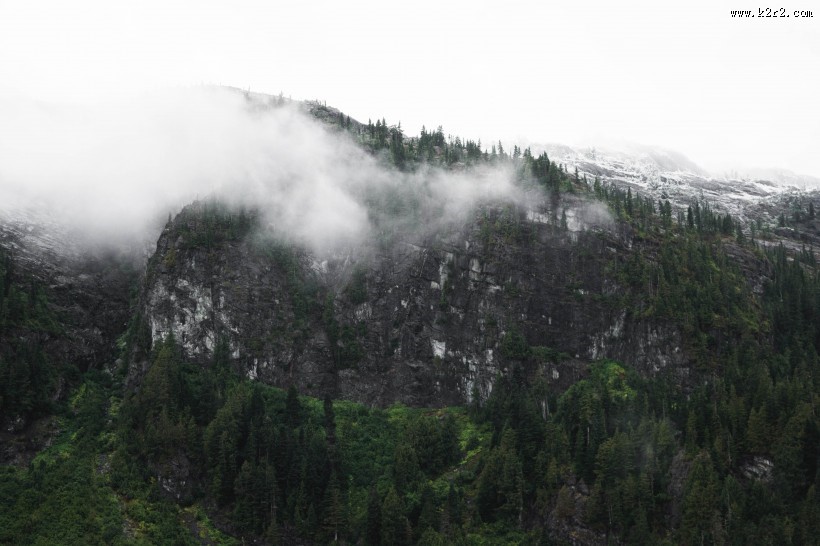 雾天的森林图片大全