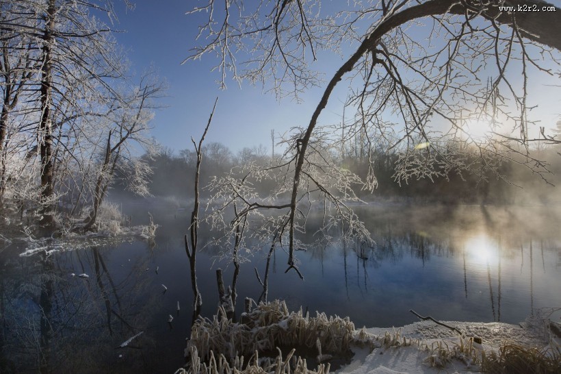 唯美的雾淞风景图片大全