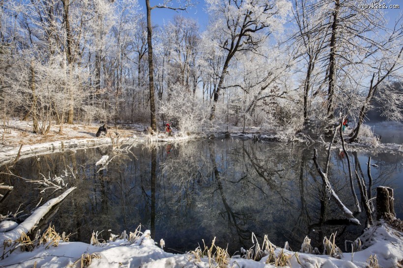 唯美的雾淞风景图片大全