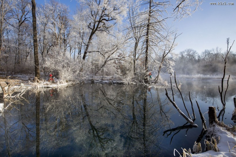 唯美的雾淞风景图片大全