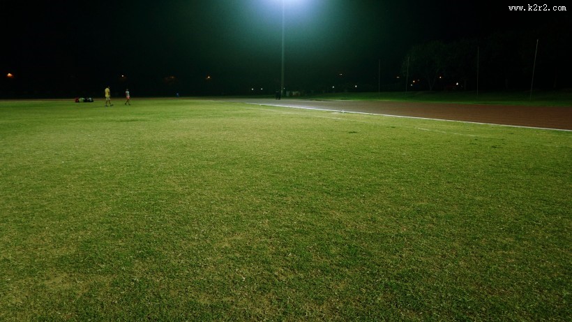 平坦的草地图片