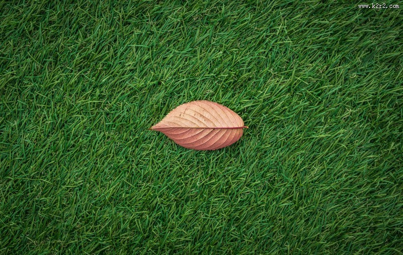 平坦的草地图片