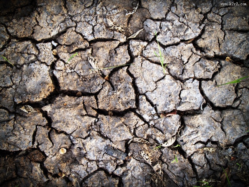 干裂的土地图片大全