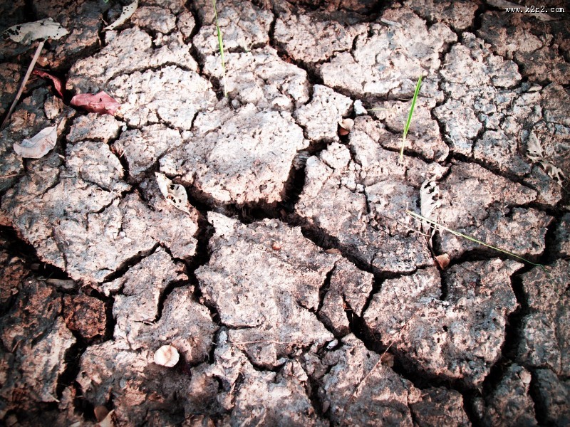 干裂的土地图片大全