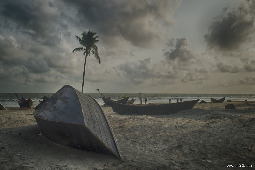 一棵孤独的椰树图片