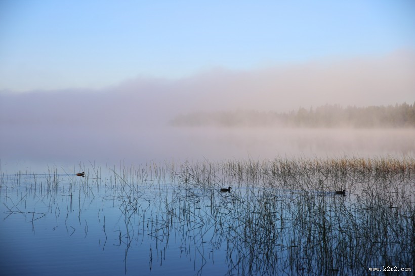 清澈的湖泊的图片