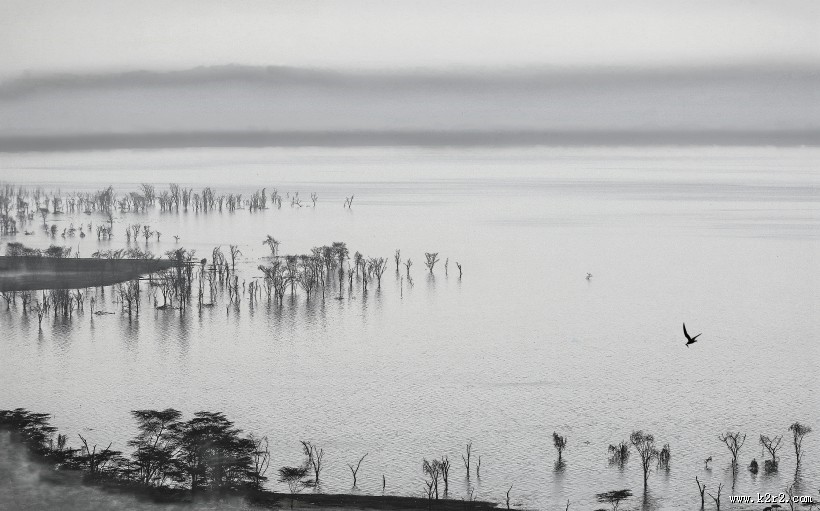 清澈的湖泊的图片