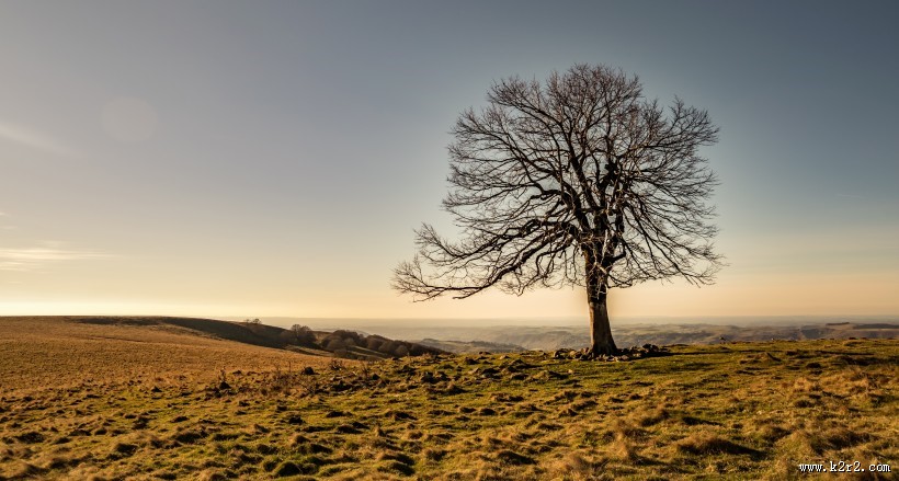 美妙的田园日出风景图片