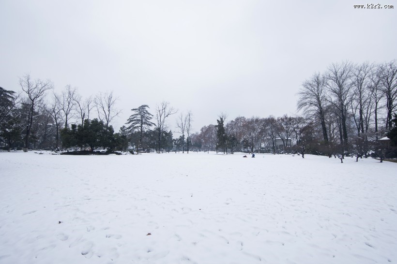 寒冷冬季雪景图片