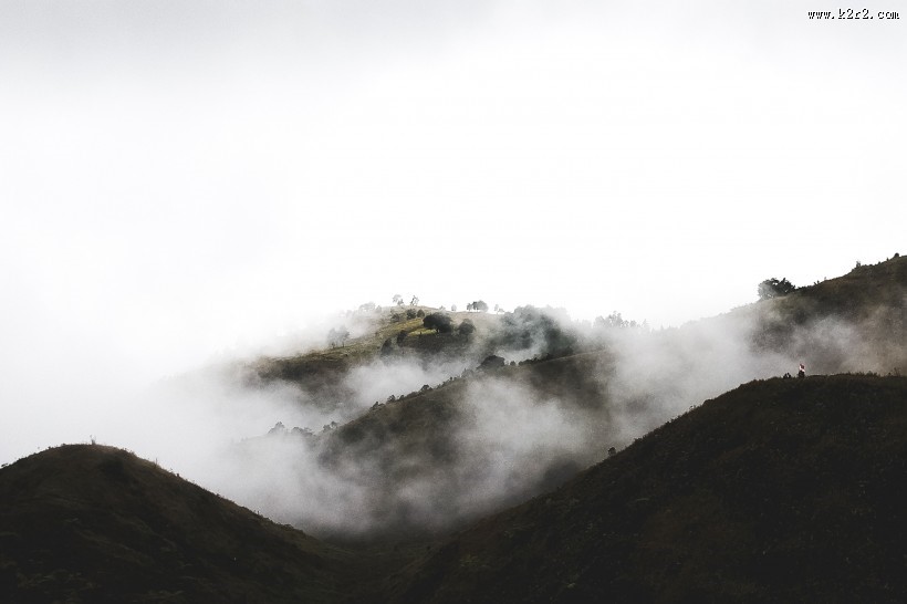 森林上空的雾图片大全