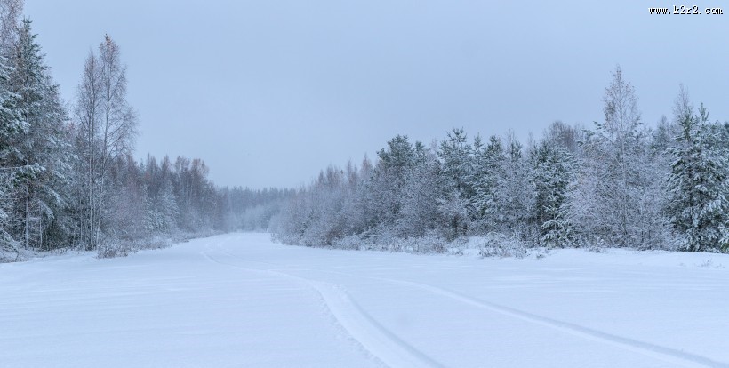 洁白无瑕的雪景图片大全