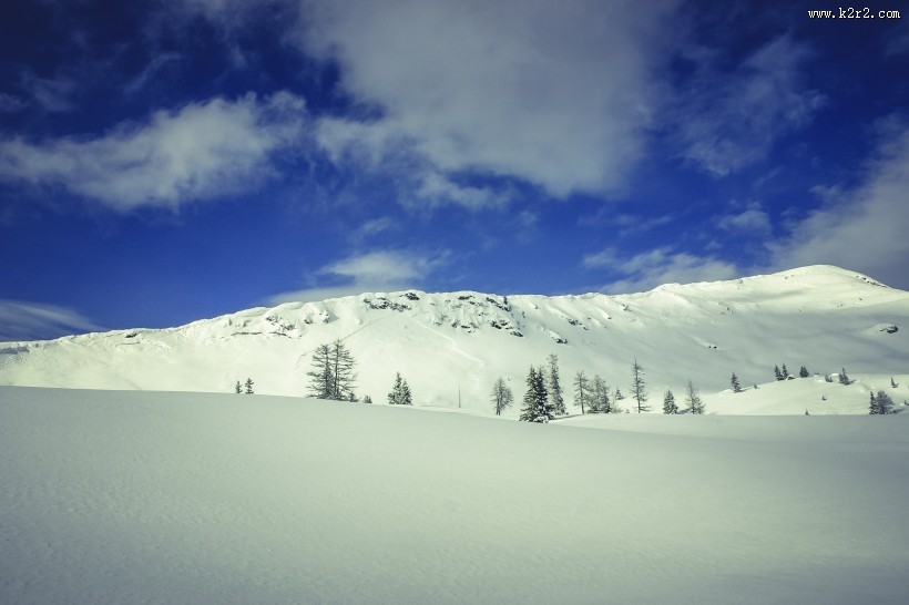 白茫茫的雪景图片