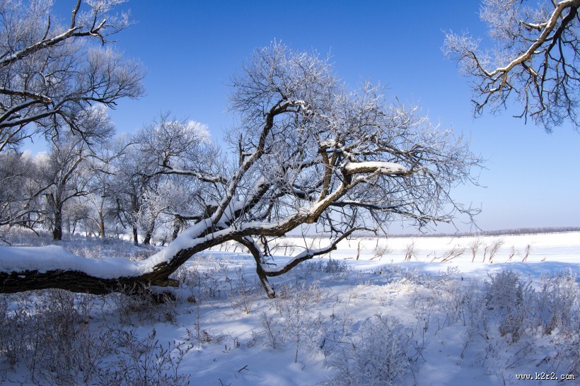 寒冷的冰雪风景图片大全