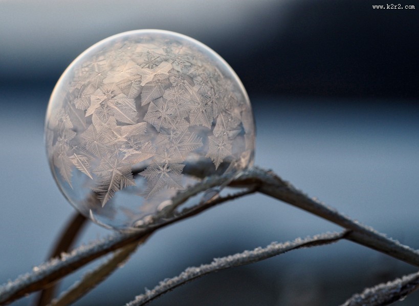 美丽的雪花图片